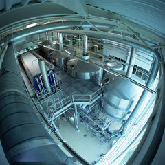 Modern brewery, industrial beer production area.
