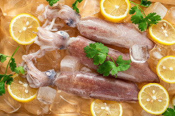 Fototapeta na wymiar Fresh tubule squid and lemon slices on ice cubes