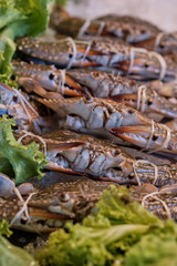 Flower crab, Blue crab, Blue swimmer crab, Sand crab on ice in the supermarket