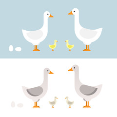 Geese set of vector illustration in color. Design characters in flat.