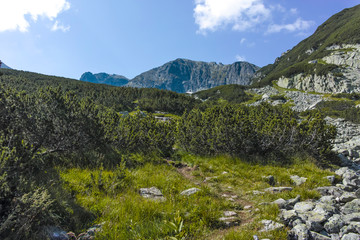 Fototapeta premium Malyoviska river Valley, Rila Mountain, Bulgaria