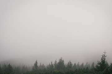 Fototapeta na wymiar Backpacking in Jeseniky, autumn raiin and mist - mystical weather
