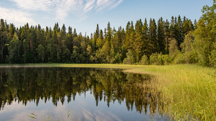 Fototapeta na wymiar Forest and meadow reflection in mini lake in central Sweden