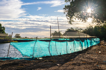 Obraz premium Blue nylon nets around the fish pond with windy and sun is sunshine in blue sky background in the countryside