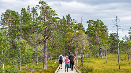Naklejka premium Hiking route in Fulufjällets National Park