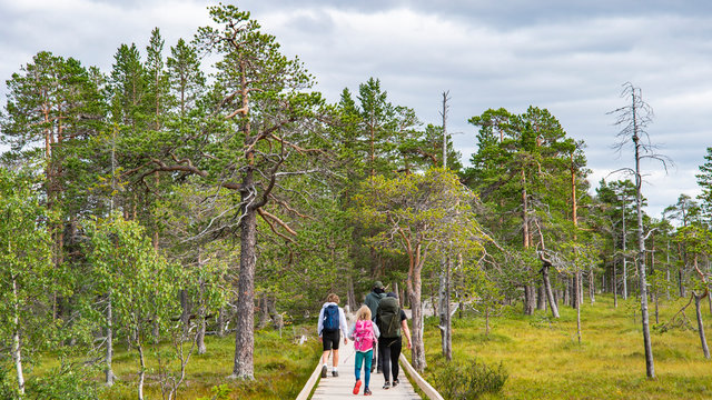 Hiking route in Fulufjällets National Park