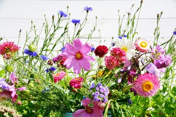 Wunderschöne Sommer Blumen Wiese - Grußkarte Sommerblumen