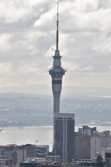 Fototapeta na wymiar City view of Auckland in New Zealand