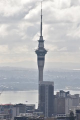 Obraz premium City view of Auckland in New Zealand