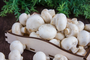 Champignon mushrooms in a wooden tray on a dark background with a sprig of greenery