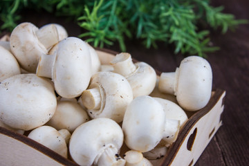 Champignon mushrooms in a wooden tray on a dark background with a sprig of greenery