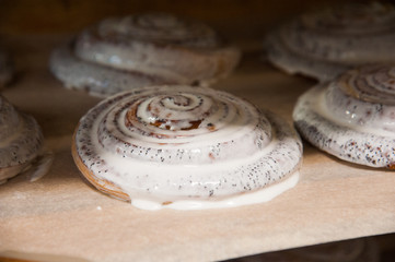 Bakery. Production of bread, rolls, pies and cookies