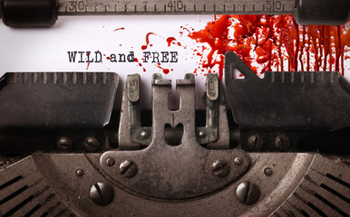 Wild and free, written on an old typewriter