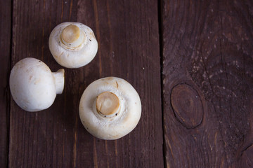 Champignon mushrooms on a dark background
