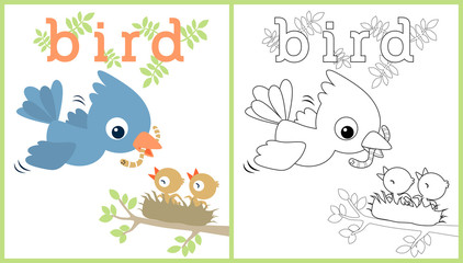 vector cartoon illustration of birds family, coloring book or page