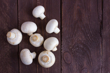 Fototapeta na wymiar Champignon mushrooms on a dark background