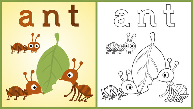 vector cartoon of working ants, coloring book or page