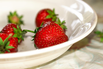 Red strawberry