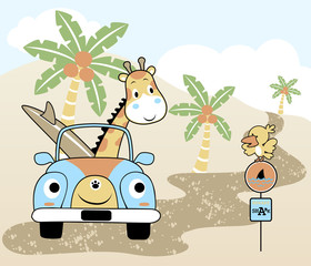 vector cartoon of giraffe with surfboard on car, holiday time in the beach