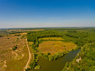 Fototapeta premium Aerial view of the fresh green forests and fields.
