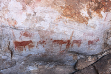 Ancient Khoisan bushman drawings on rock in a cave in the Cederberg mountains.
