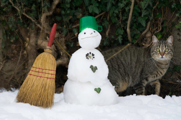 Cat and tiny snowman with broom and green plastic cap.
