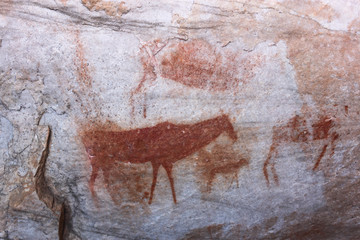 Ancient Khoisan bushman drawings on rock in a cave in the Cederberg mountains.