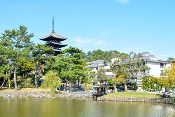 Fototapeta premium 興福寺