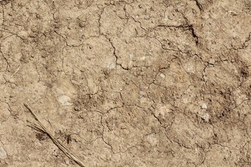 A close view on the dry drought dirt texture.