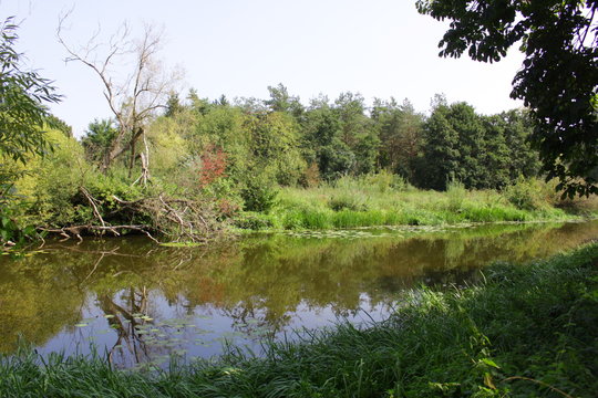 Flu&szlig; Auen