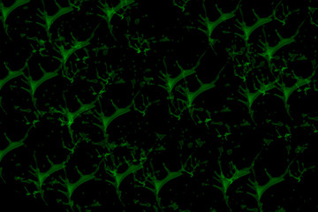 Mixture of acrylic paints. Liquid marble texture. Fluid art. Applicable for design cover, presentation, invitation, flyer, annual report, poster and business card, design packaging. Modern artwork.