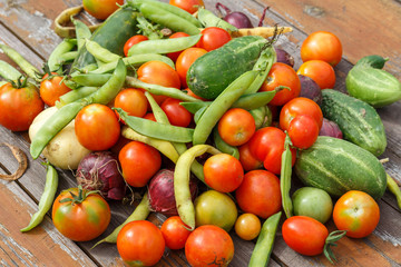 Fresh vegetables collected from the garden