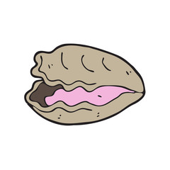 digitally drawn illustration oyster design. hand drawing style