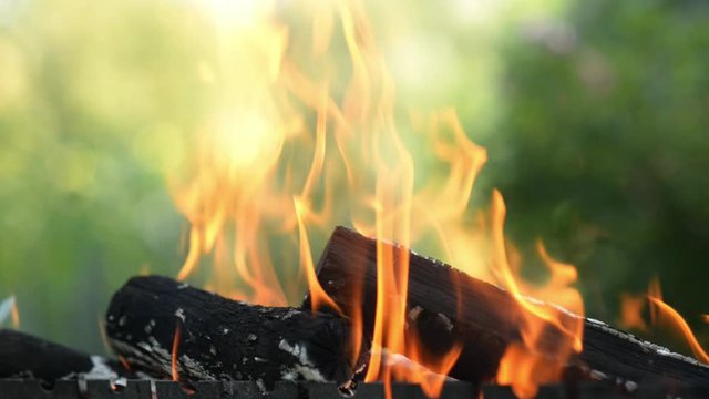 Close up of bbq fireplace outdoors. Camping travel in summer or fall. Fire flames on ash wood