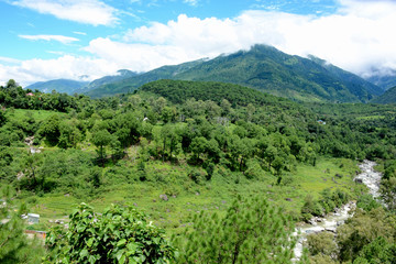 the beatiful view mountain forest trees and river blue sky.