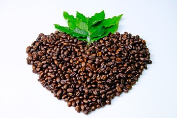 Heart-shape roasted coffee beans and green leaves isolate on white background.
