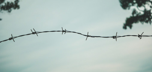 Barbed wire. Barbed wire on fence to feel worrying Concept