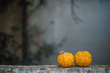 autumnal background with pumpkins ideal for halloween
