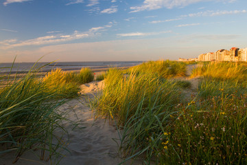 Beach in Knokke Heist, Belgium