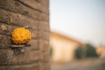 autumnal background with pumpkins ideal for halloween