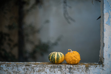 autumnal background with pumpkins ideal for halloween
