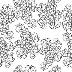 Grape seamless pattern on isolated background