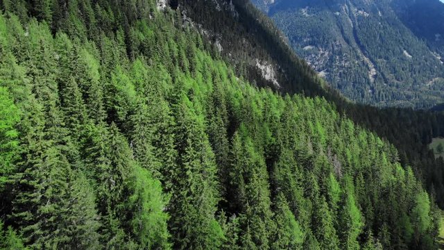 Switzerland alpine forest aerial shot - flying over an iconic swiss panorama. 4K Drone shot on a bright summer day