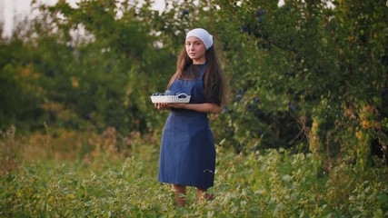 Portrait of young woman in apron standing with basket of fresh plums. Harvest of plums in orchard during sunset