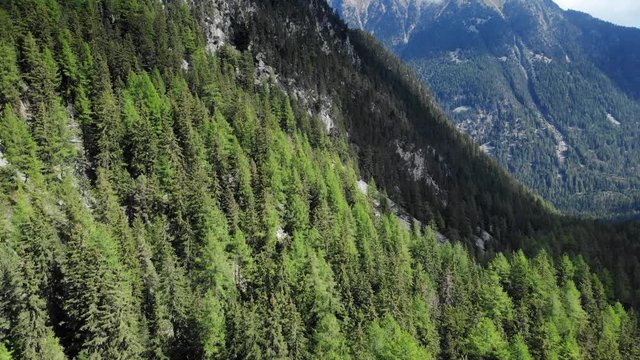 Mountain pine forest cinematic aerial shot. Beautiful alpine forest on a bright summer morning