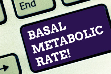 Handwriting text Basal Metabolic Rate. Concept meaning Minimum energy level require to sustain...