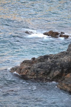 waves crashing on rocks