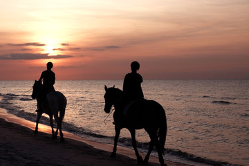 girls horseriding on beach at sunset