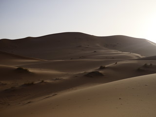 Fototapeta na wymiar Wüste, Sand, Düne, Sonne, einsam, Dämmerung, Urlaub