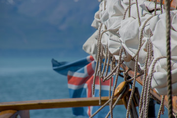 Walbeobachtung in Island